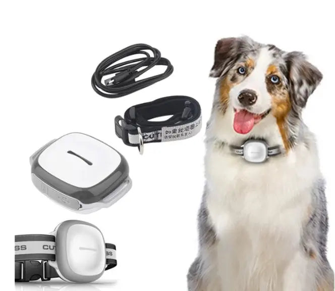 Collared Cat Dog Tracker Pet Locator Pet pawello