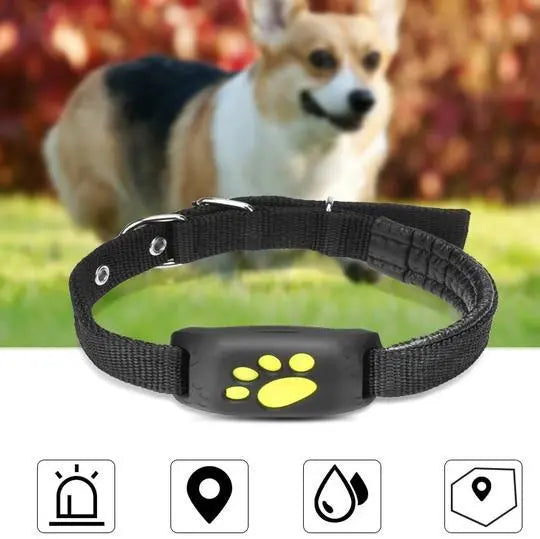 GPS Pet Tracker pawello