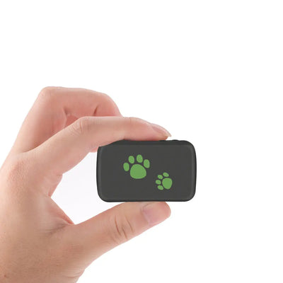 Pet GPS Tracker: Revolutionizing Pet Safety pawello